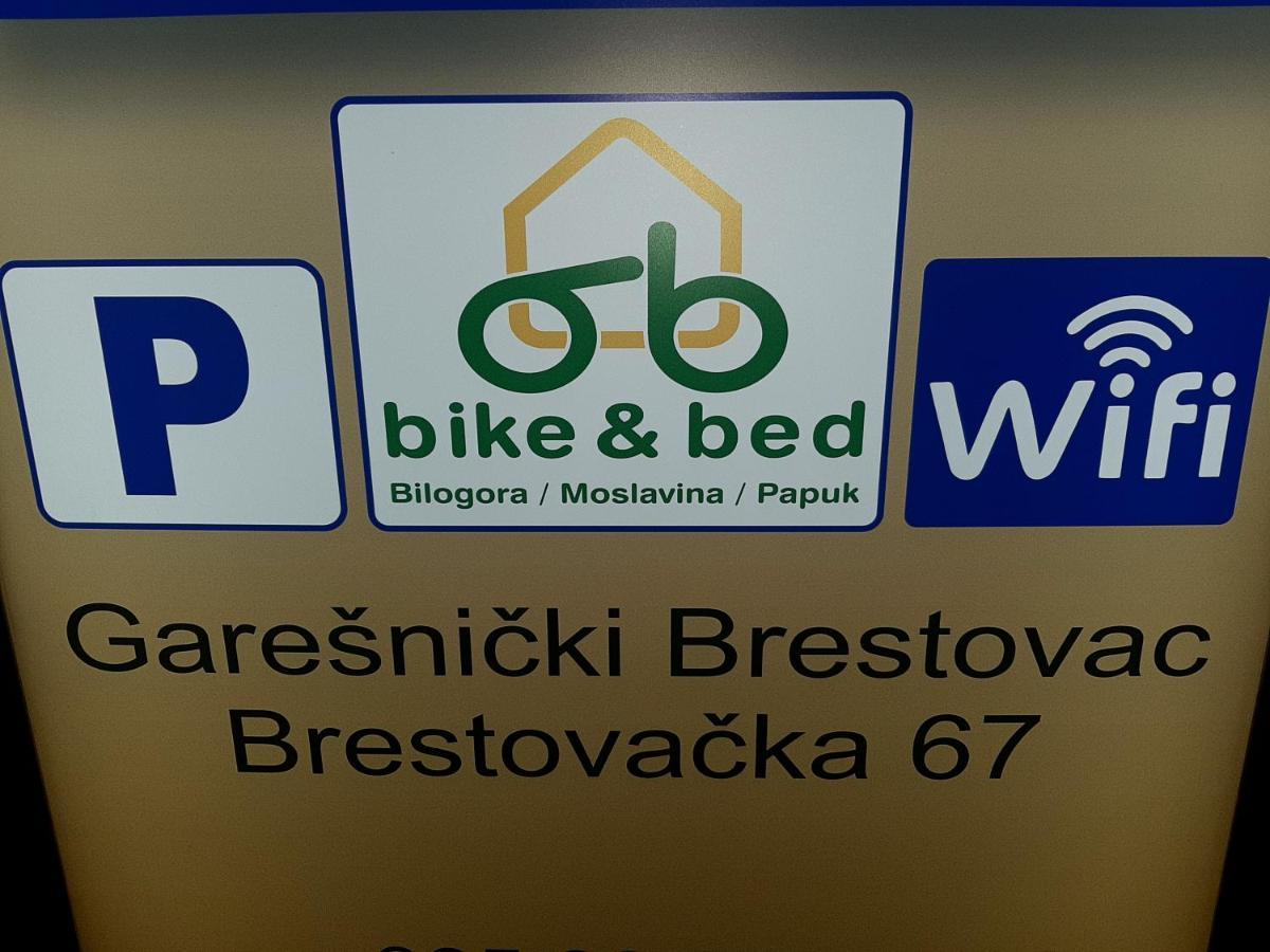 Studio Apartmani "Stimac" Garesnica Екстер'єр фото